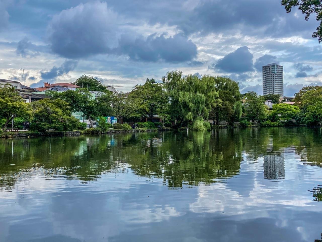 石神井い公園